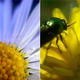 Image for article titled Stick-On Lenses Turn Your Phone Camera Into a Microscope